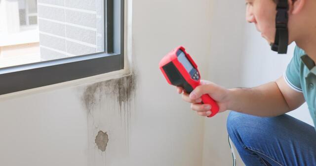 Is Mold Testing Really Necessary? - Image 1