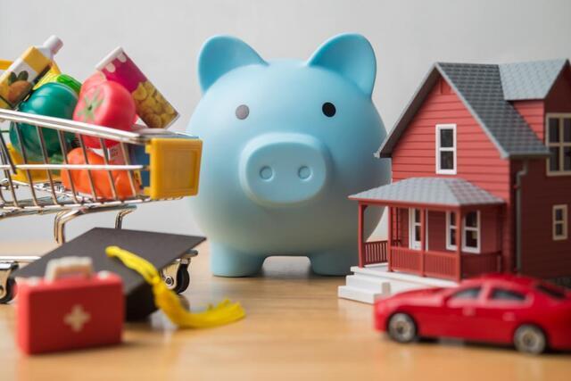 Should You Put Off Mold Removal for Financial Reasons? - Image 1