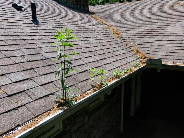 Gutter Maintenance Tips for Connecticut Homeowners