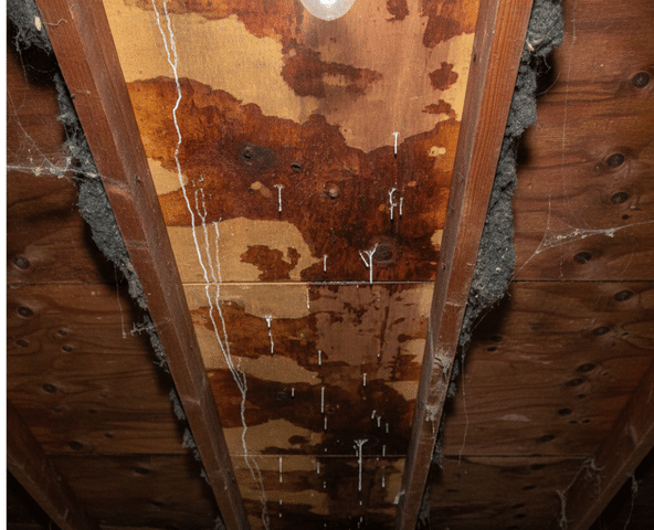 Leaks often show up inside the attic before they&rsquo;re obvious from the yard.
