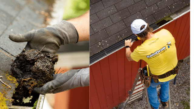Why Keeping Your Gutters Clean Matters More Than You Think