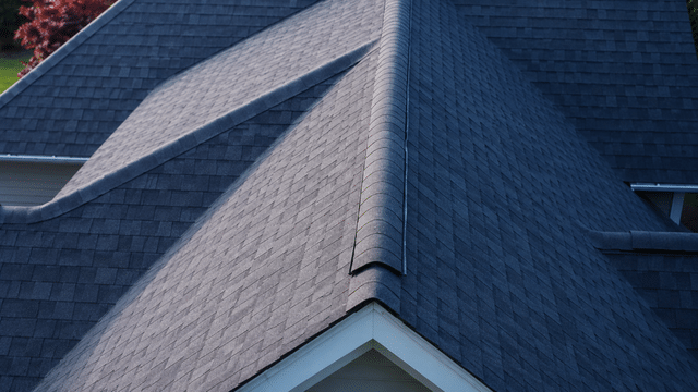 Ridge Vent