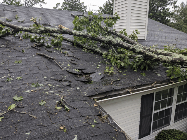 Storm Damage