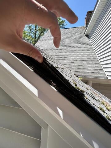 Moss have begun to grow between the layers of these shingles.
