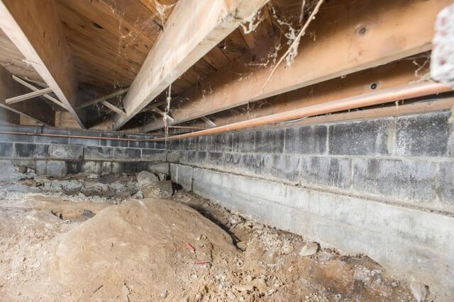 The Negative Impact of a Wet Crawl Space on Your Home