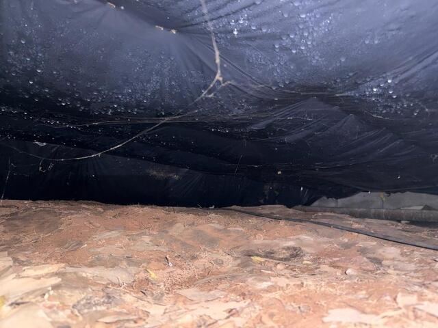 The Negative Impact of a Wet Crawl Space on Your Home - Image 1