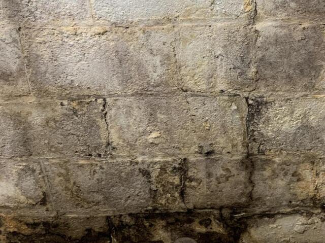 Signs of a Wet Basement and How to Fix It