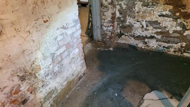 Don't Let Your Spooky Basement Bring You Down