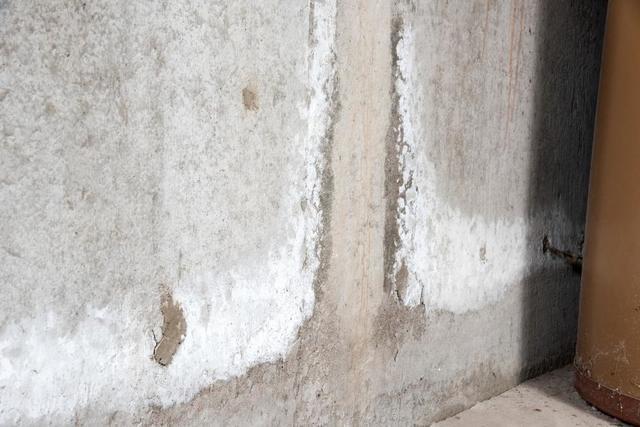 White Powder on Basement Walls: What It Means and How to Stop It - Image 4