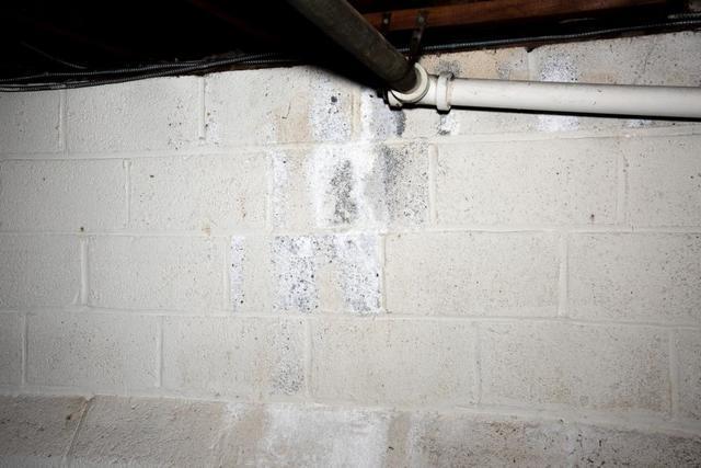 White Powder on Basement Walls: What It Means and How to Stop It - Image 2