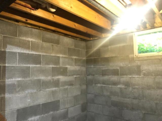 White Powder on Basement Walls: What It Means and How to Stop It - Image 3