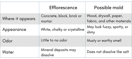 White Powder on Basement Walls: What It Means and How to Stop It - Image 3