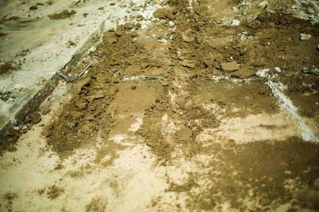 Different Types of Soil and Your Foundation - Image 2