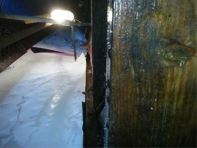 Why Wood and Basements Don't Mix