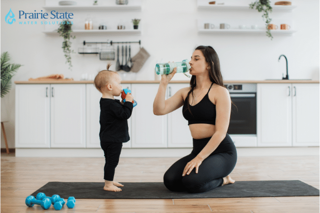 Whole Home Water Filter System, Naperville, IL