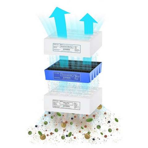 Meet the World's Best Basement Air Purifier