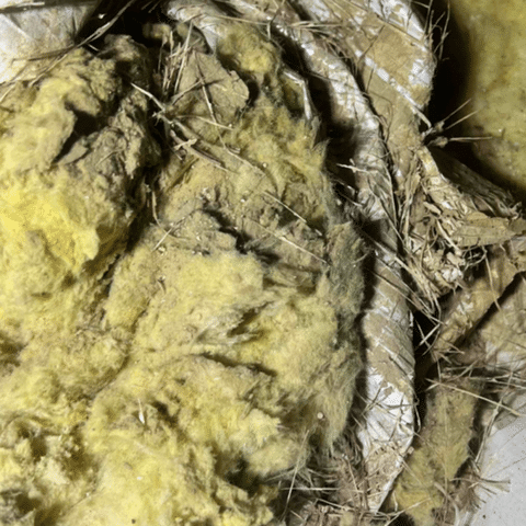 Debunking Crawl Space Insulation Myths