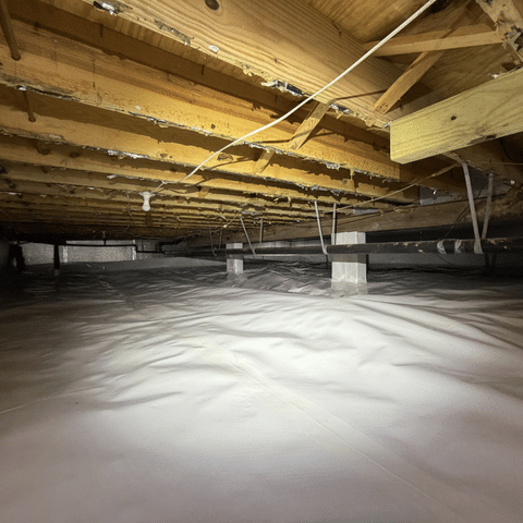 Preparing Your Basement &amp; Crawl Space for Hot, Humid Summers - Image 1