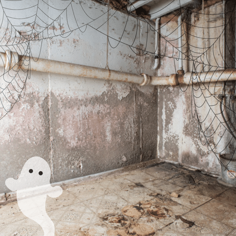 Haunted Basement? It Could be Foundation Issues!