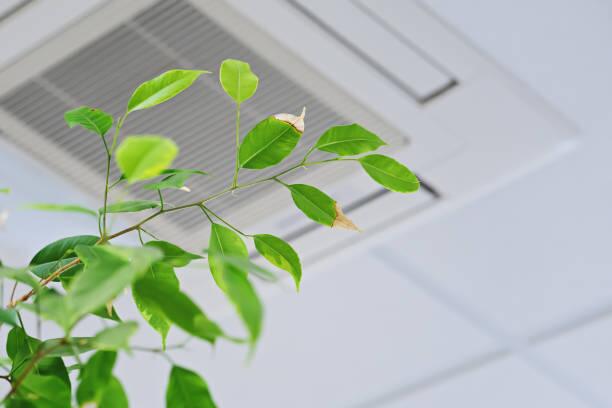Winter Air Quality: Why It Matters and How to Improve It
