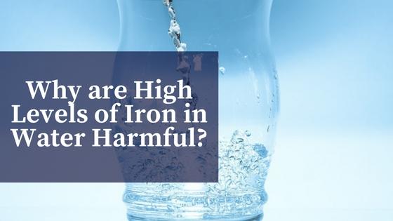 High Levels of Iron