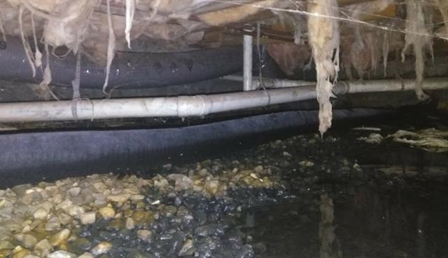 Telltale Signs Your Crawl Space May Be Damp