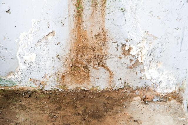 What Causes Basement Water Leaks and How to Fix Them - Image 2
