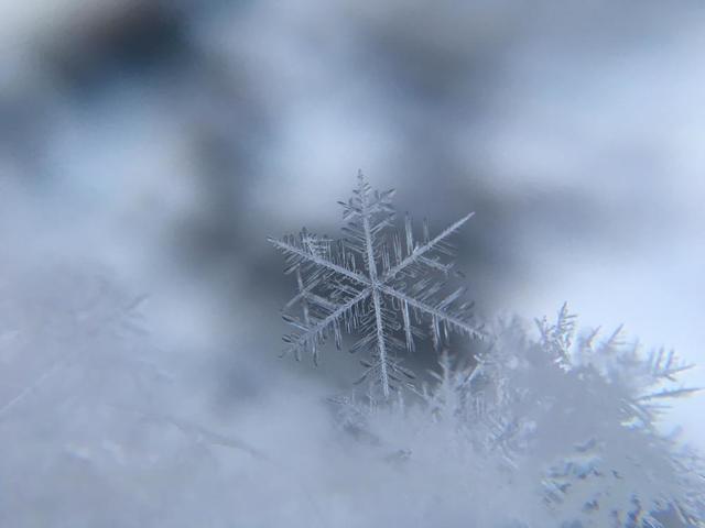 A snowflake