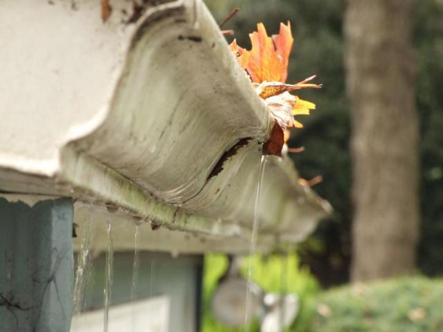 clogged gutter on home full of leaves and debris