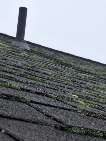 How Fast Should Homeowners Act On A Leaky Roof?
