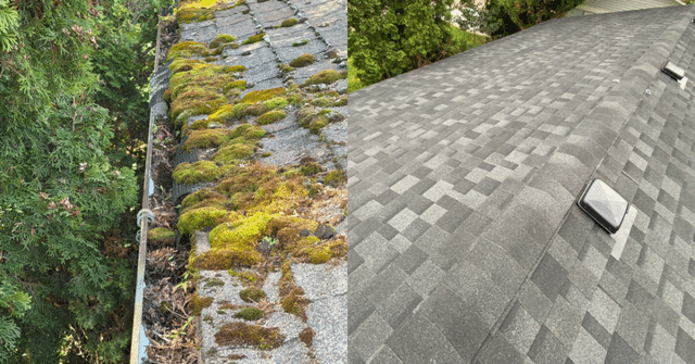 Portland Homeowner Discovers Roof Replacement Need During Gutter Consultation
