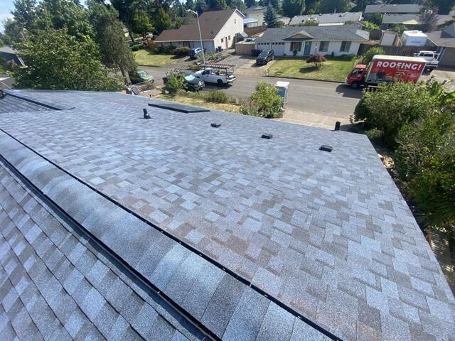 Architectural Asphalt Shingles vs. IKO Dynasty Performance Shingles: Is the Upgrade Worth It? - Image 2