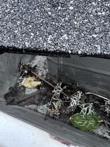Why Replacing Your Gutters Is the Perfect Time to Upgrade to Raindrop Gutte...