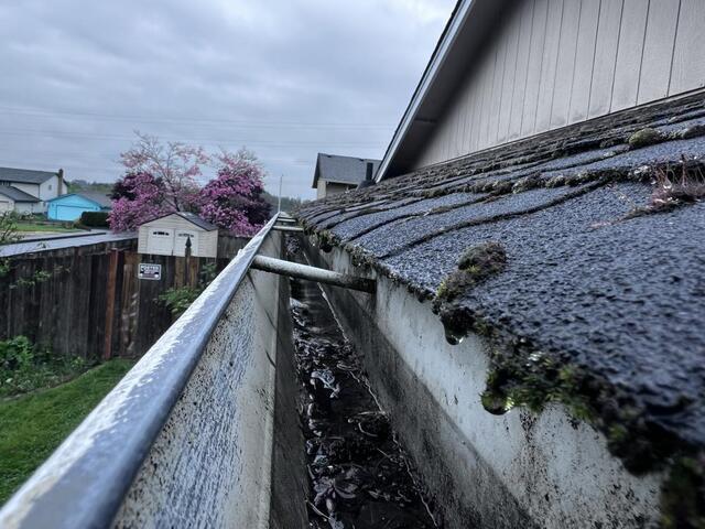 The Hidden Damage That Clogged Gutters Can Cause