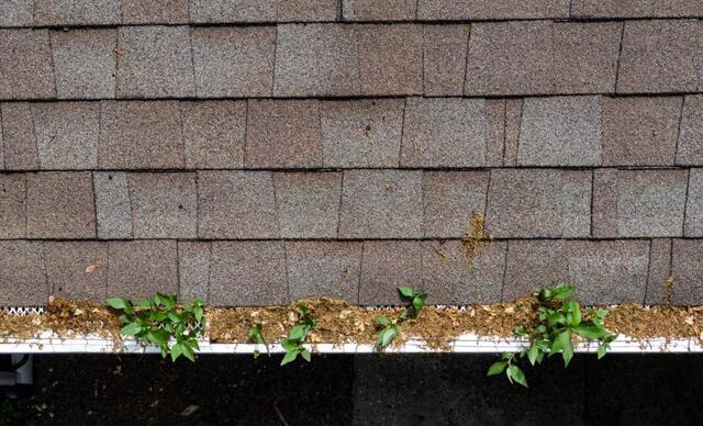 Why Do My Gutters Clog So Easily?