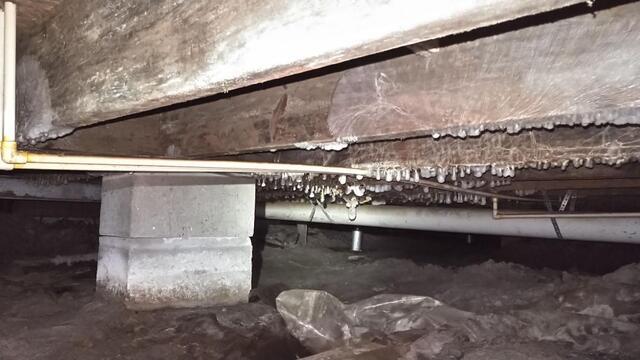 Coastal Conditions and Crawlspace Risks in Miami - Image 2