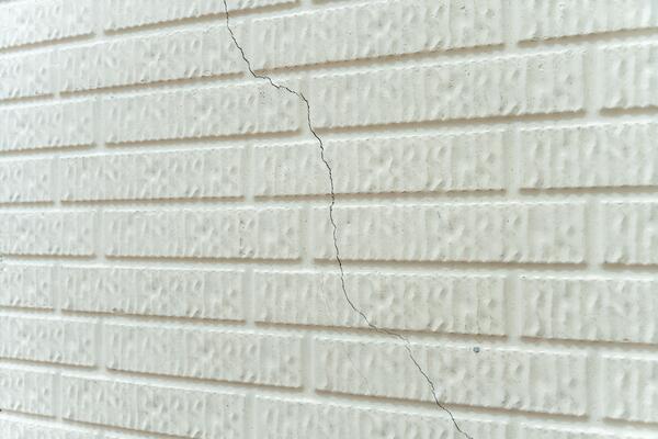 Tampa Bay\&#039;s 5 Culprits for Cracks in Your Foundation - Image 4