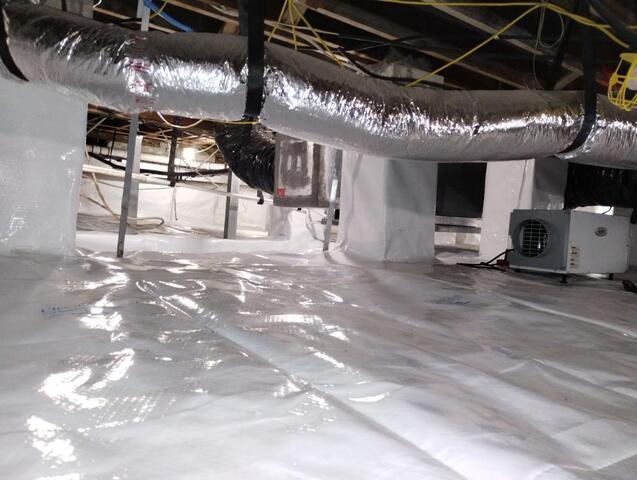 Coastal Conditions and Crawlspace Risks in Miami - Image 4