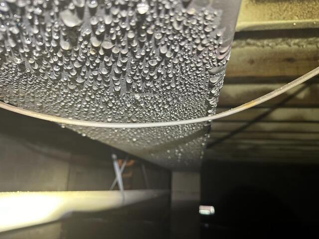 Coastal Conditions and Crawlspace Risks in Miami - Image 3