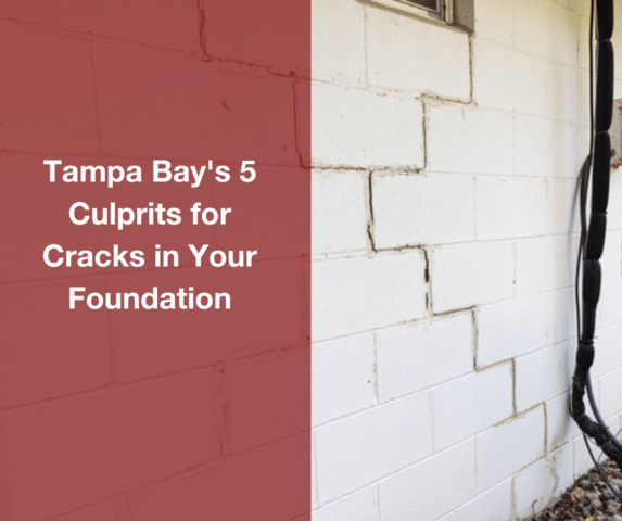 Tampa Bay's 5 Culprits for Cracks in Your Foundation