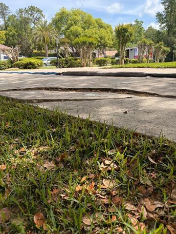 From Drought to Downpour: How South Florida Weather Impacts Your Foundation - Image 5