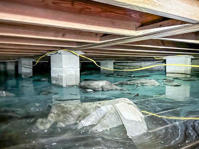 Do You Have a Crawl Space? How to Tell and Why It Matters - Image 3