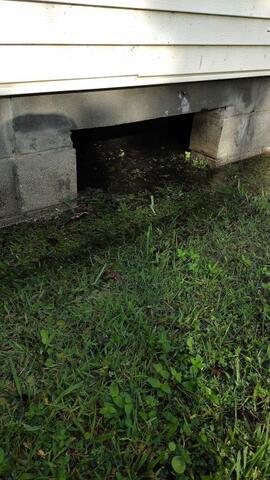 When the Ground Rises: How Florida\'s Flooding and Sinkholes Impact Crawl Spaces - Image 3