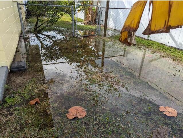 When the Ground Rises: How Florida\'s Flooding and Sinkholes Impact Crawl Spaces - Image 2