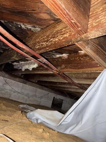 The Hidden Impact of South Florida Humidity on Crawl Spaces and Foundations - Image 3