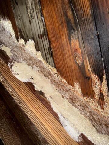 The Hidden Impact of South Florida Humidity on Crawl Spaces and Foundations - Image 2