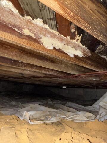The Florida Crawl Space Checklist: 10 Things Homeowners Should Look for Twice a Year - Image 1