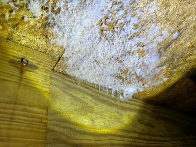 Crawl Space Problems That Get Worse After Heavy Rains - Image 3