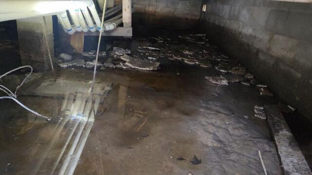 Crawl Space Problems That Get Worse After Heavy Rains - Image 2