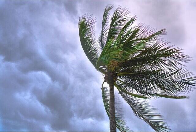 Super El Niño 2026: What It Means for South Florida Homeowners - Image 2